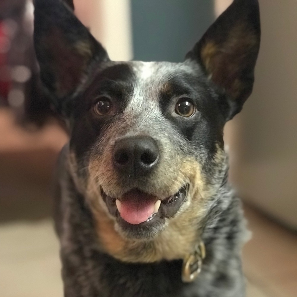 Meet your Posher, Kc